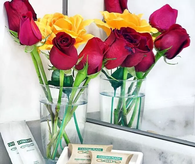 Casona Plaza Hotel Centro