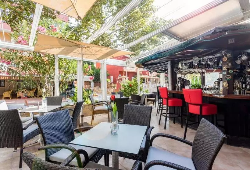 Hostal El Celo Garden