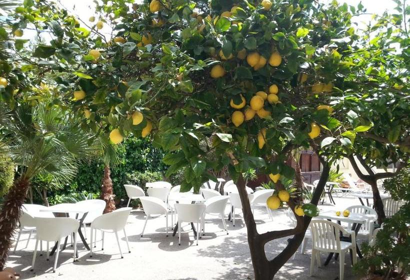 客栈 El Celo Garden