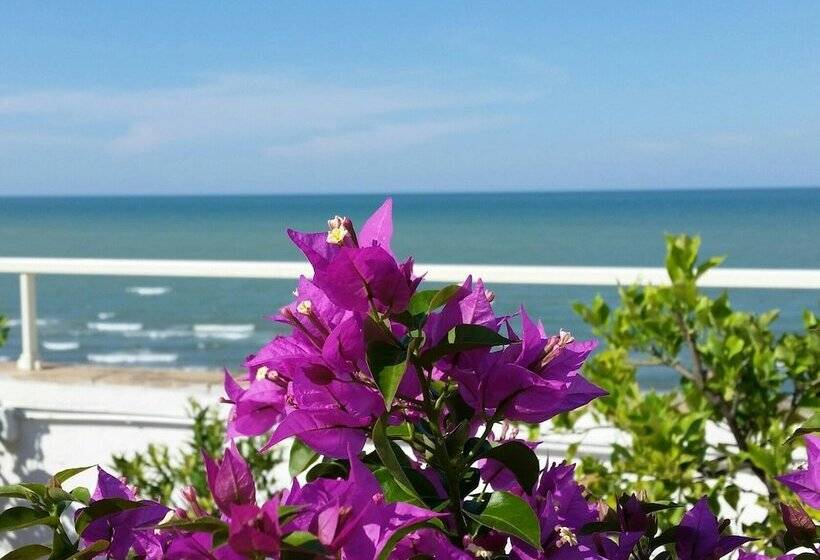 בית מלון כפרי Caggiari