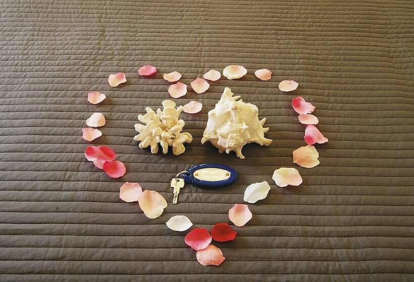 בית מלון כפרי Caggiari