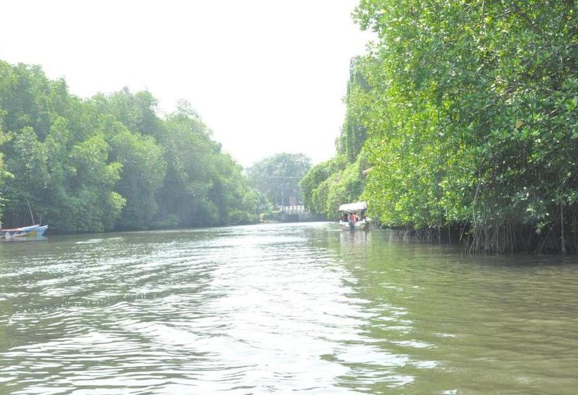 Отель Muthumuni Ayurveda Beach Resort