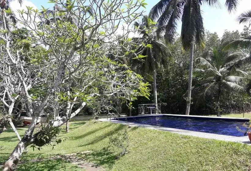 ホテル Muthumuni Ayurveda Beach Resort