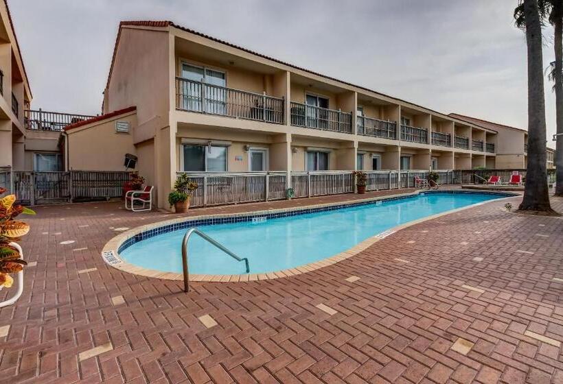 فندق Dolphin #16