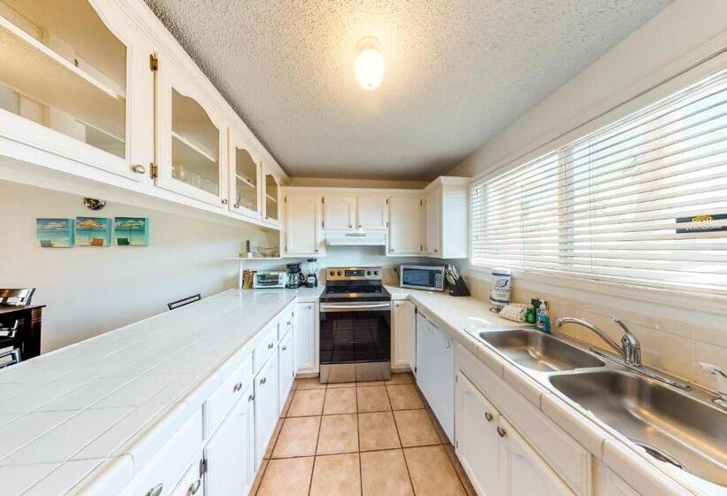 فندق Dolphin #16