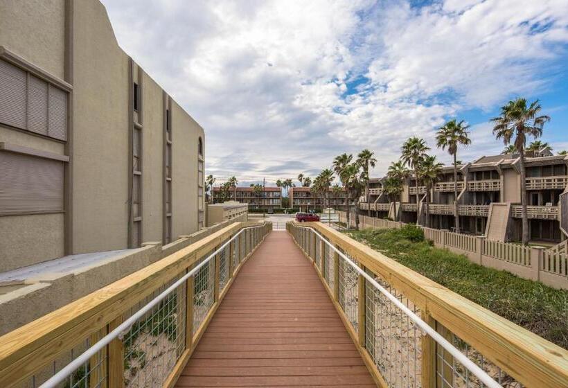 فندق Palm Tree Escape