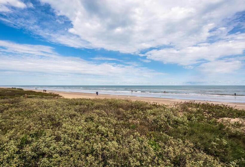 فندق Palm Tree Escape