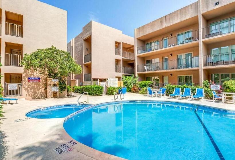 فندق Palm Tree Escape