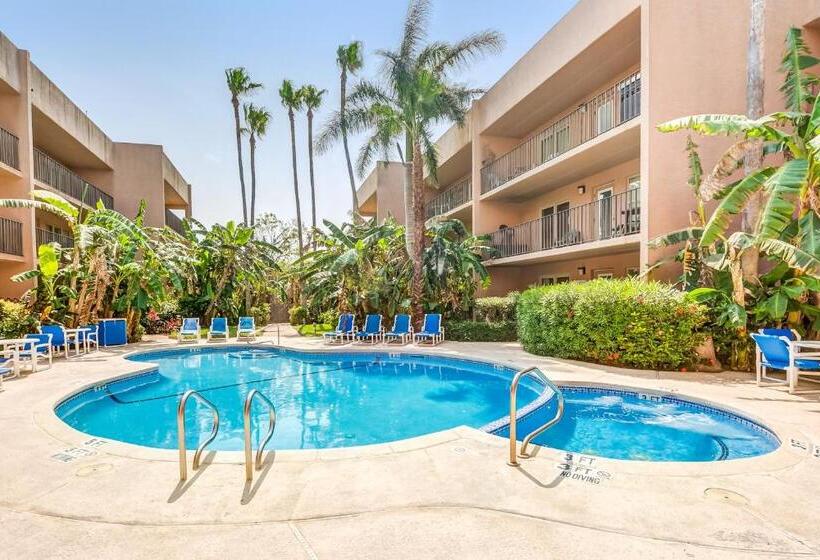 فندق Palm Tree Escape