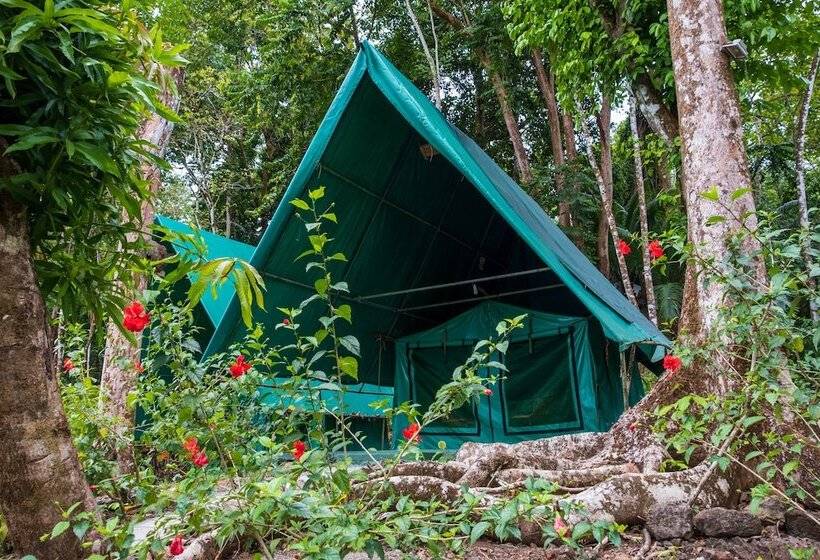 Отель Corcovado Adventures Tent Camp