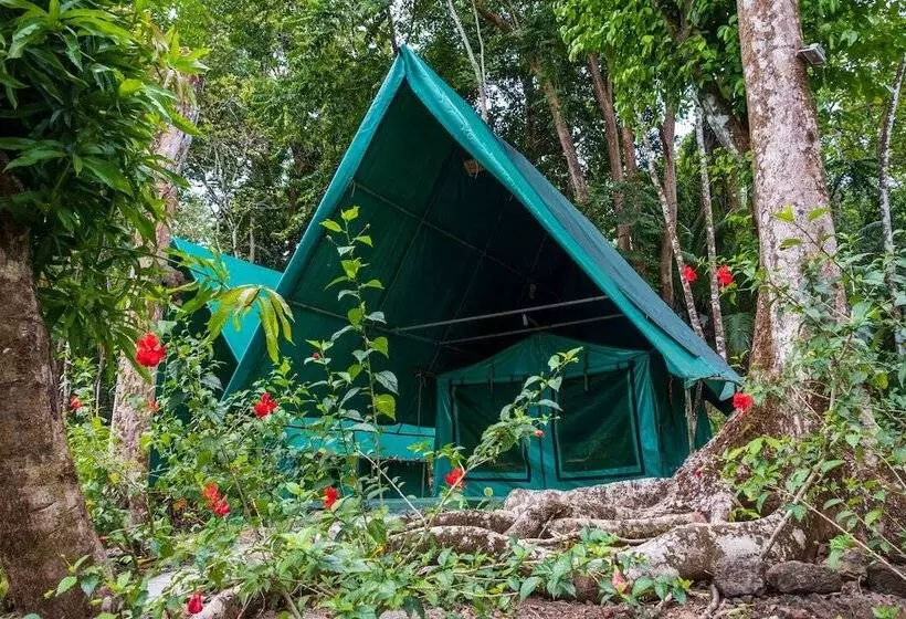 ホテル Corcovado Adventures Tent Camp