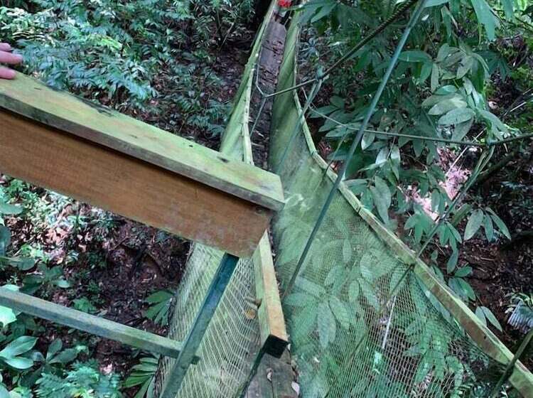 Отель Corcovado Adventures Tent Camp