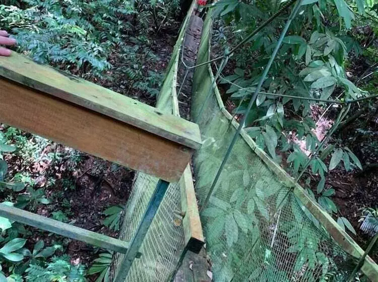 ホテル Corcovado Adventures Tent Camp