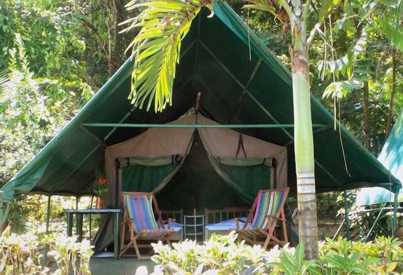 Отель Corcovado Adventures Tent Camp