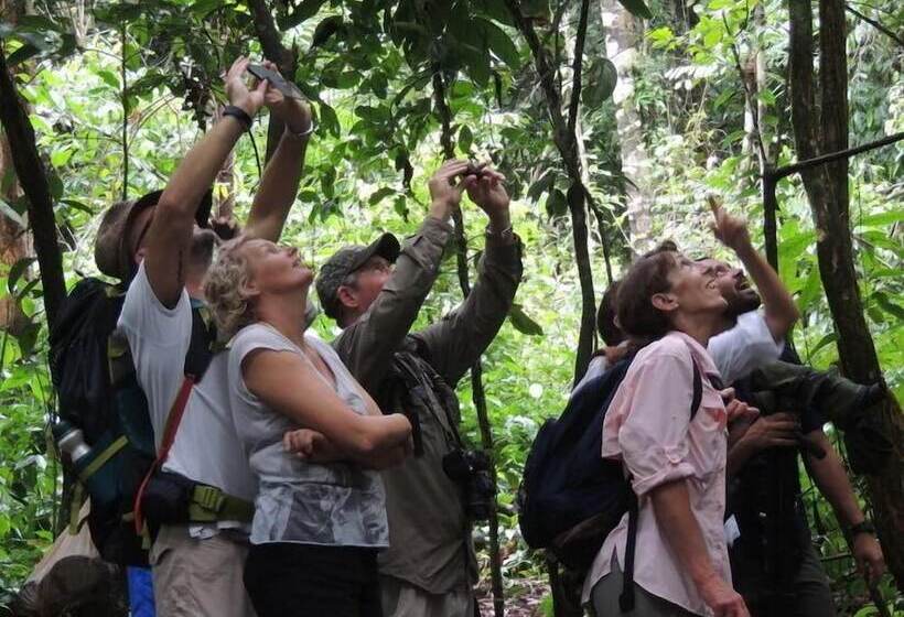 Отель Corcovado Adventures Tent Camp