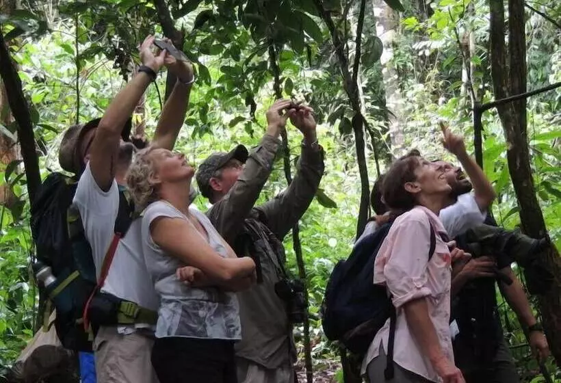 ホテル Corcovado Adventures Tent Camp