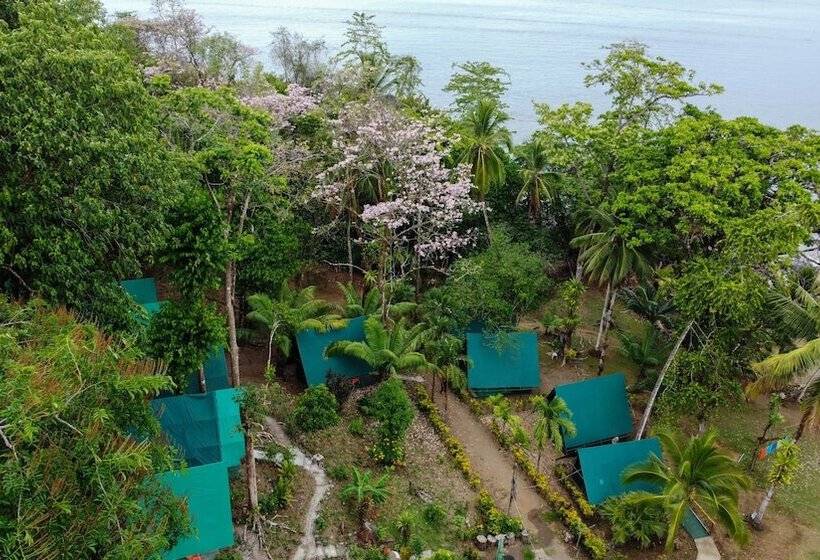 Отель Corcovado Adventures Tent Camp