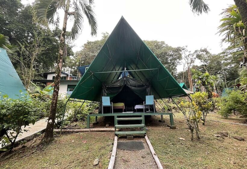 Отель Corcovado Adventures Tent Camp