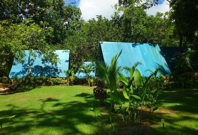 Отель Corcovado Adventures Tent Camp