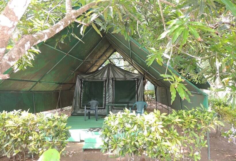 Отель Corcovado Adventures Tent Camp