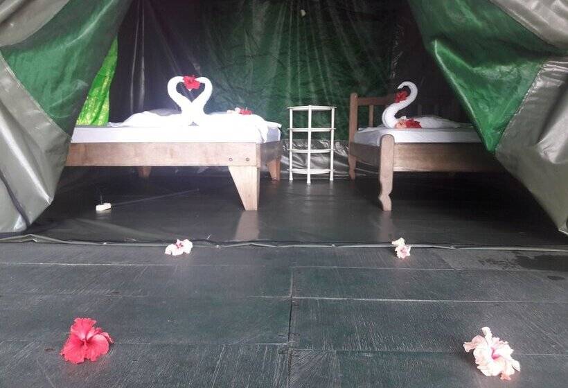 Отель Corcovado Adventures Tent Camp