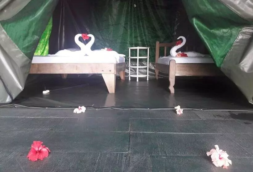 ホテル Corcovado Adventures Tent Camp