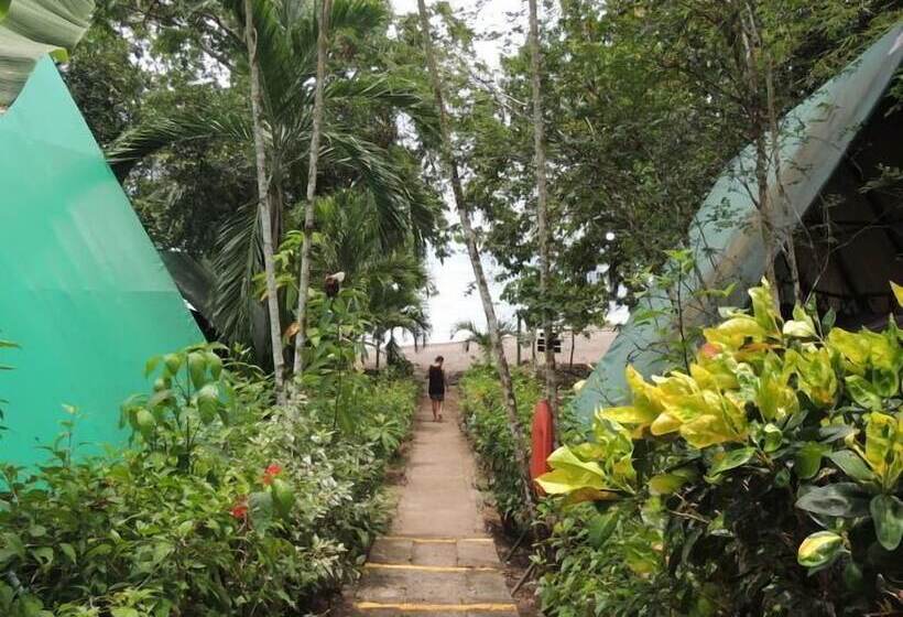 Отель Corcovado Adventures Tent Camp