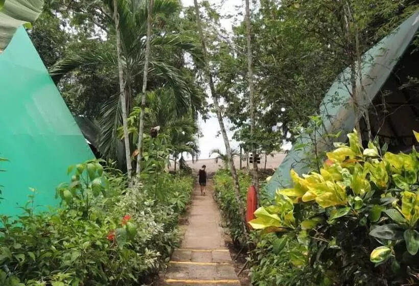 ホテル Corcovado Adventures Tent Camp