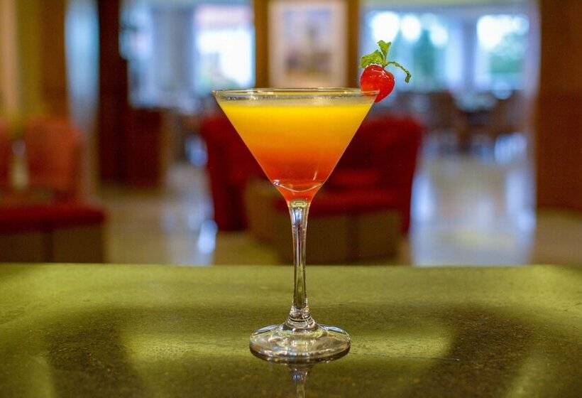 هتل De La Trinidad