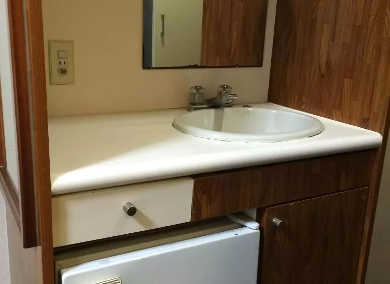 酒店 Flexstay Inn Ekoda