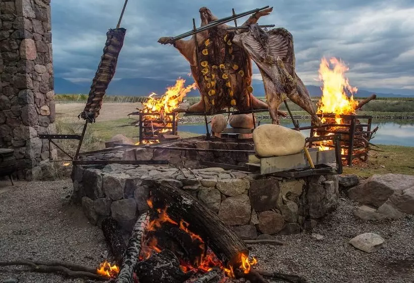 בית מלון כפרי The Vines Resort & Spa