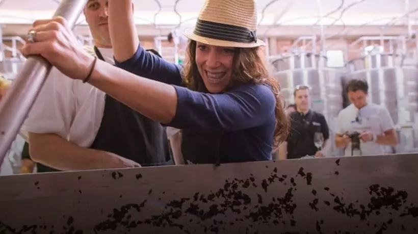 בית מלון כפרי The Vines Resort & Spa