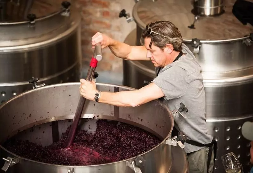 בית מלון כפרי The Vines Resort & Spa