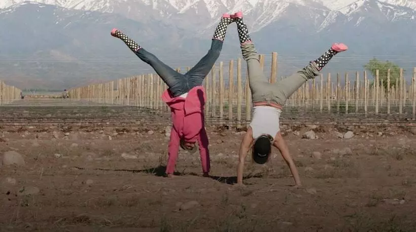 בית מלון כפרי The Vines Resort & Spa