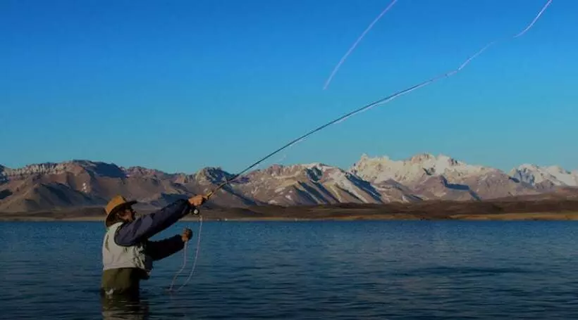 בית מלון כפרי The Vines Resort & Spa