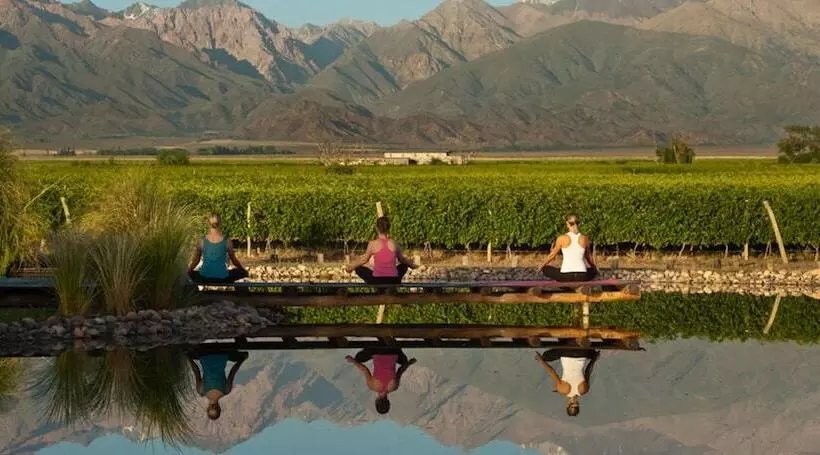 בית מלון כפרי The Vines Resort & Spa