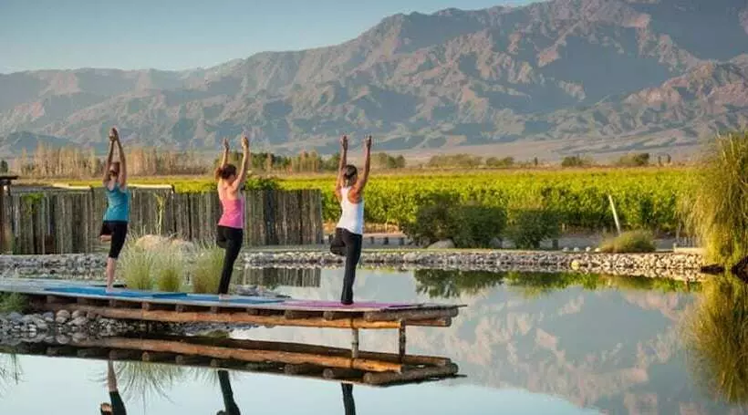 בית מלון כפרי The Vines Resort & Spa