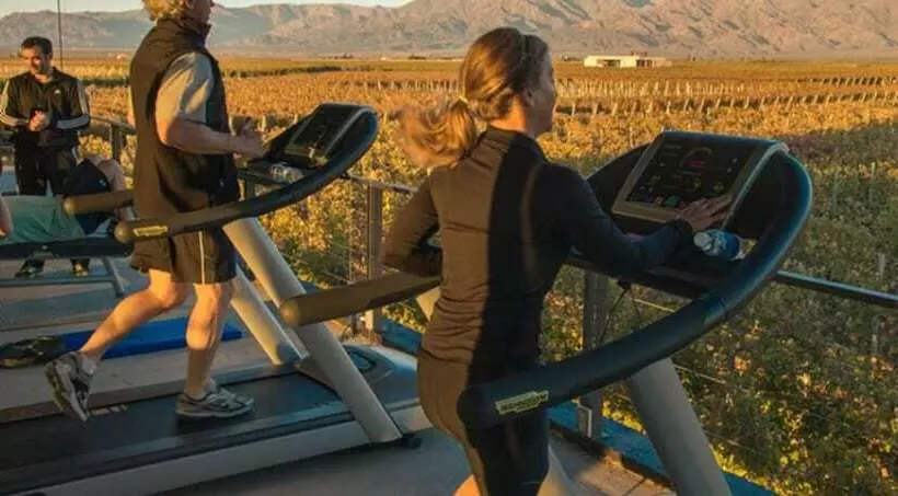 בית מלון כפרי The Vines Resort & Spa