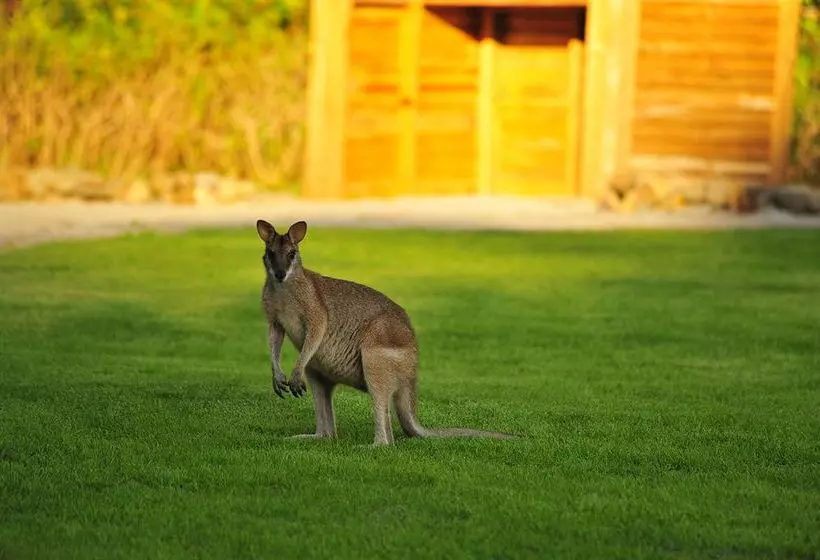 Paradise Bay Island Resort