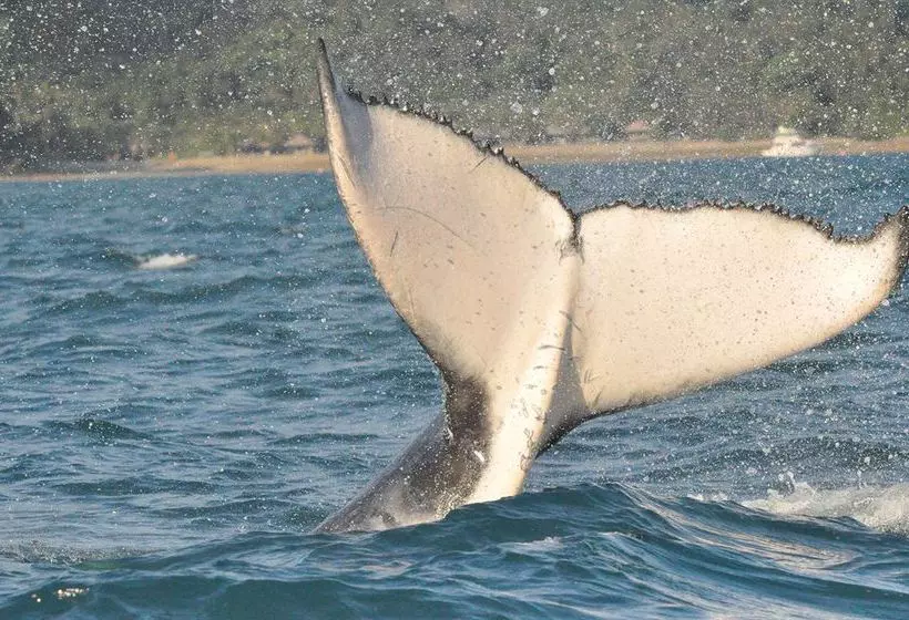 Paradise Bay Island Resort