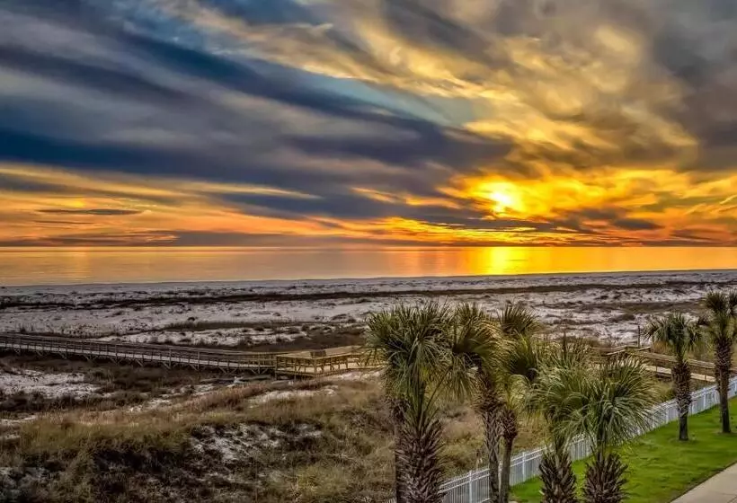 ホテル Dauphin Island Beach Club #201