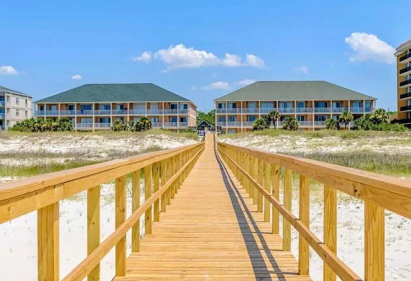 ホテル Dauphin Island Beach Club #201