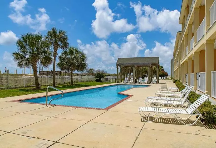 ホテル Dauphin Island Beach Club #201