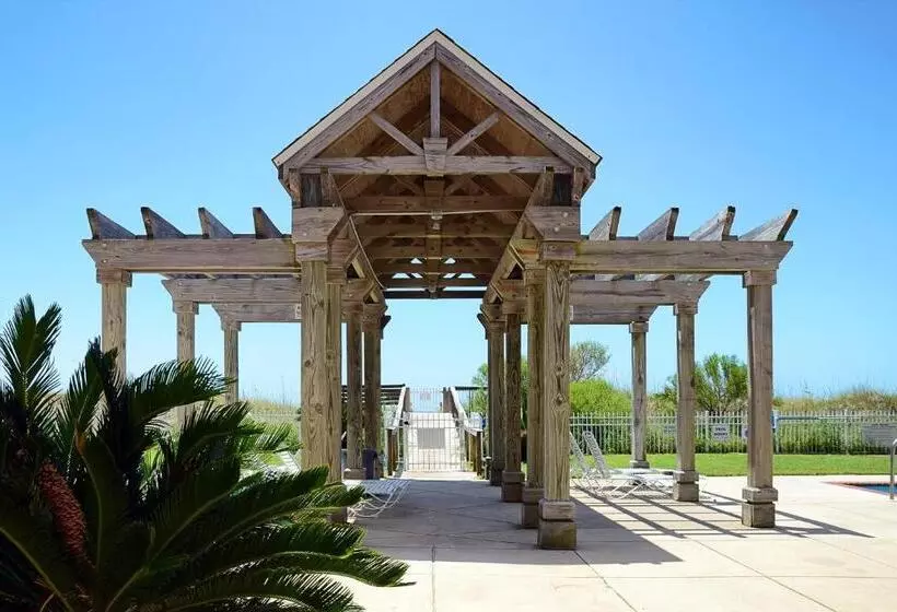 ホテル Dauphin Island Beach Club #201
