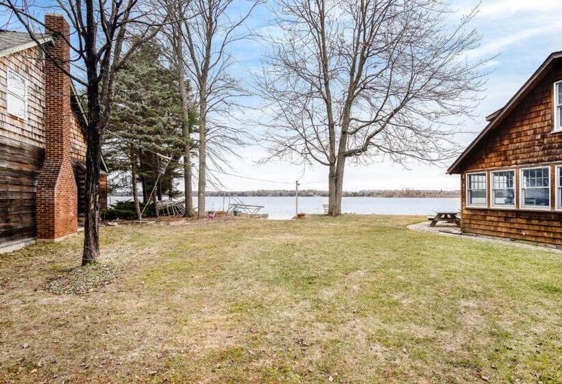 בית מלון כפרי Treehouse