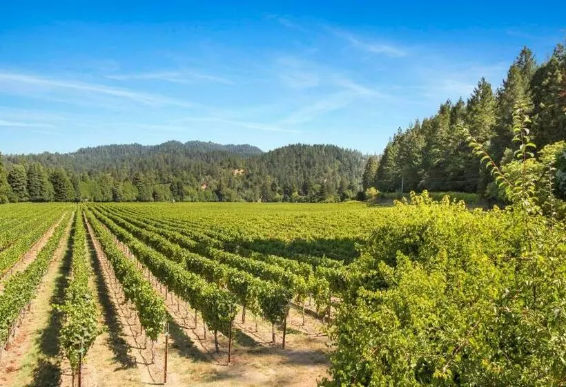 ホテル Melody Vineyard Cottage