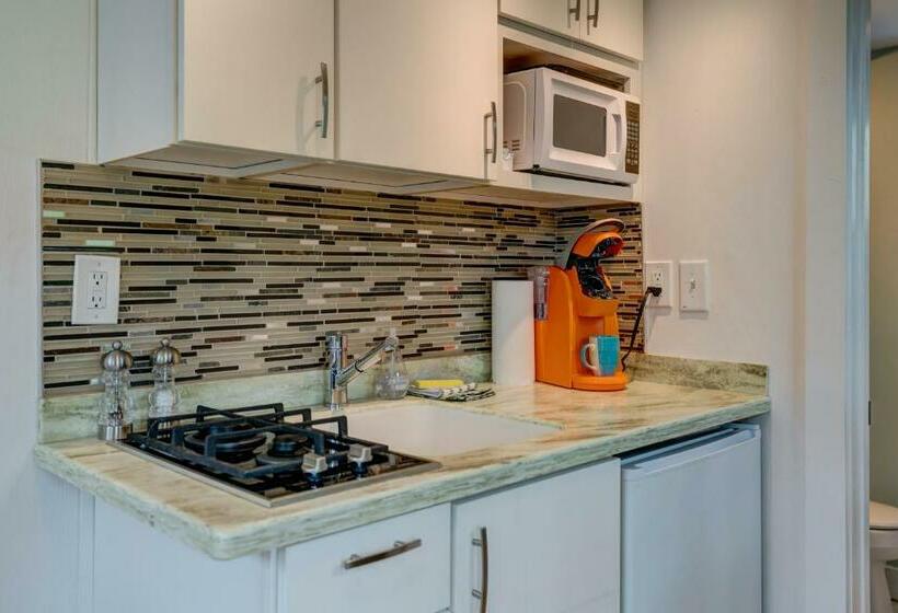 هتل Provincetown Perfection