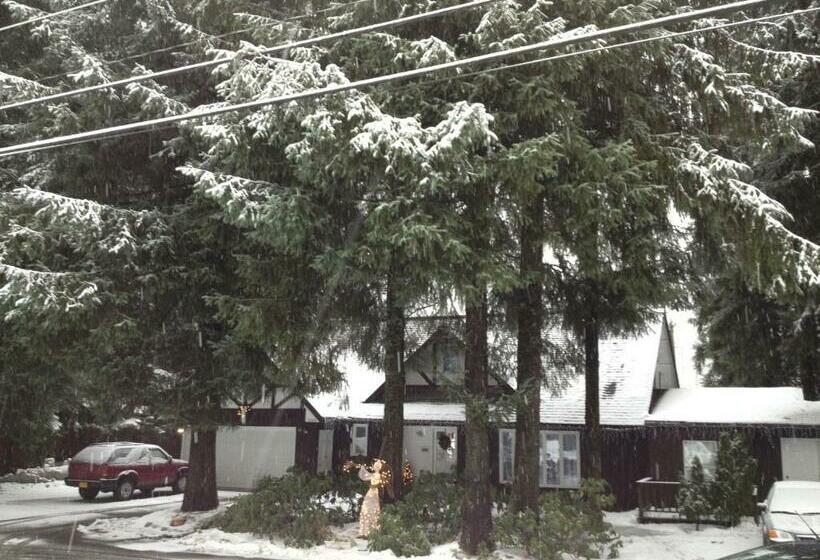 פנסיון Grandma S Suite Private Apartment Reduced Price On Tours