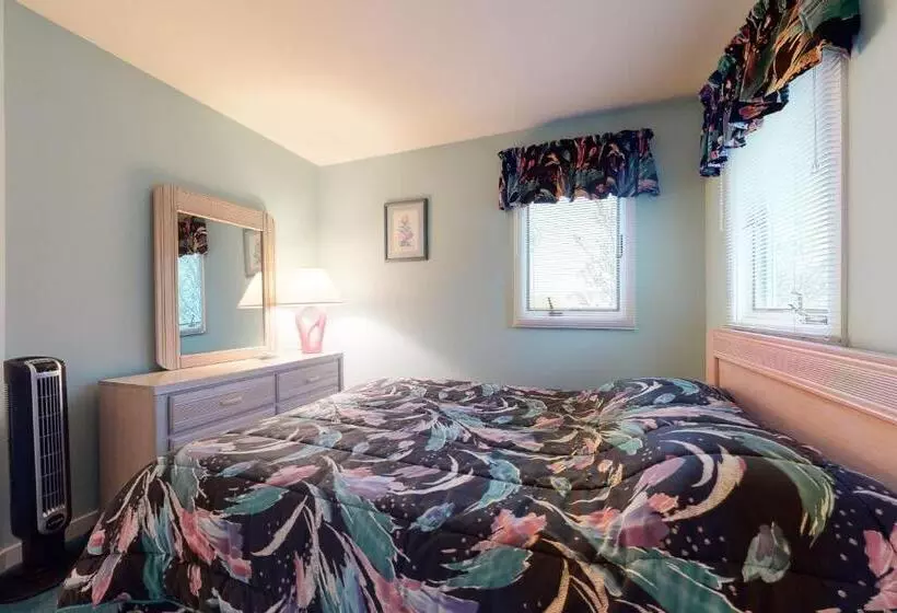ホテル Bethany Beach     533a Hudson