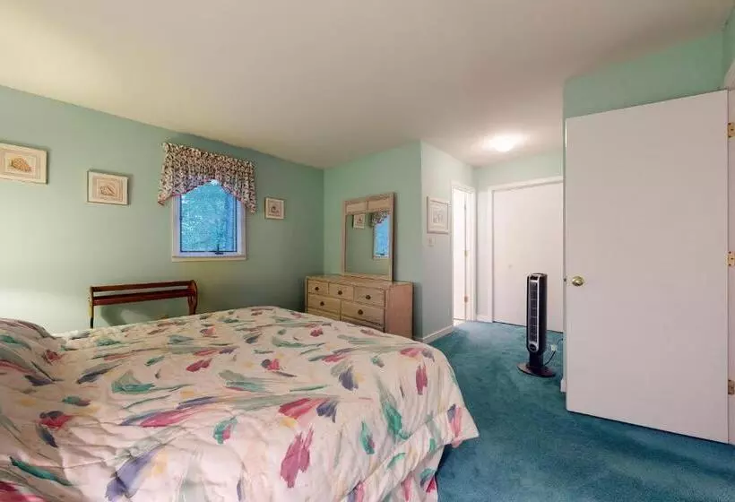 ホテル Bethany Beach     533a Hudson